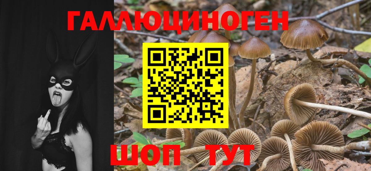 Псилоцибиновые грибы MAGIC MUSHROOMS  Вход с VPN  Лениногорск 