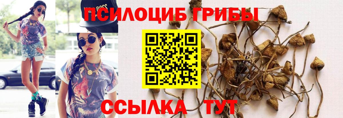 Галлюциногенные грибы мухоморы Лениногорск